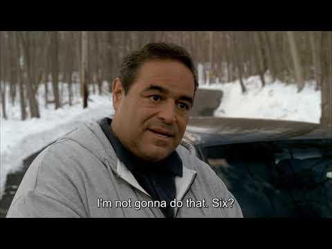 Les Sopranos Accident Vito