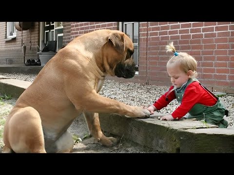 Lorsque votre chien vous considère comme son tout world❤️