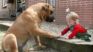 Miniature vidéo