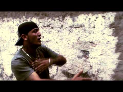 BRIGANTE E DEVASTO-O VÔO DA RENOVAÇÃO