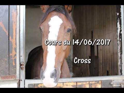 Cours du 14/06/2017 - Cross - Polly s'amuse !