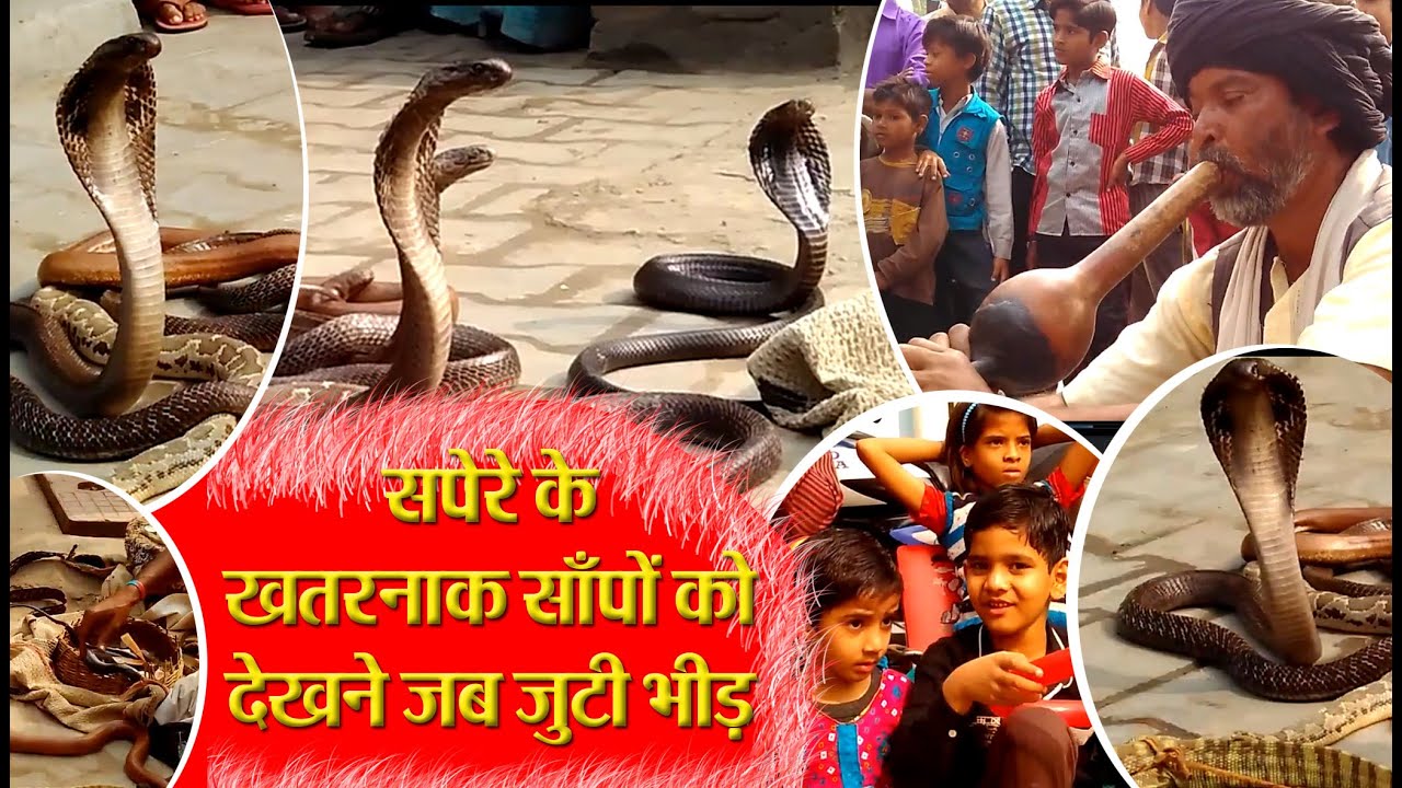 सपेरे के खतरनाक साँपों को देखने जब जुटी भीड़