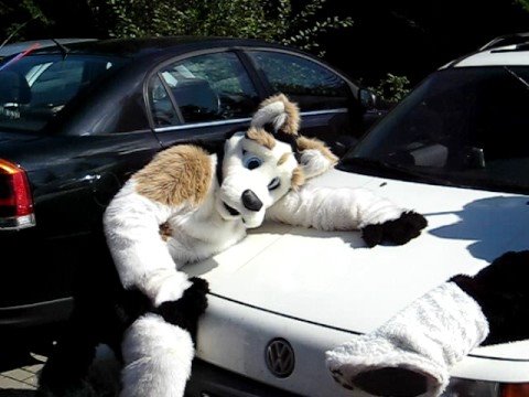 Eurofurence 14 - part 26