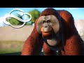 WE CREATE A HUGE ORANGUTAN ISLAND PLANET ZOO EP11