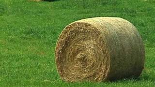 preview picture of video 'GFB Quality Hay Contest Winner'
