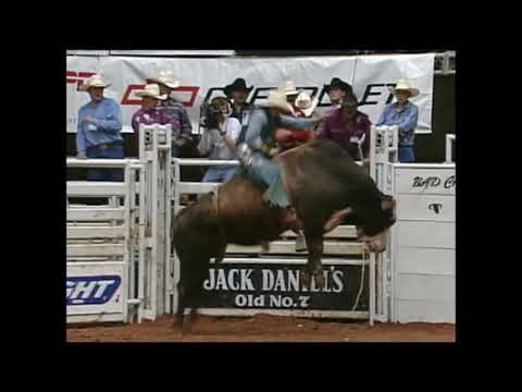 Crocodile Rock bucks Chuck White - 95 PBR Odessa