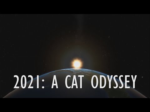 2021 A Cat Odyssey | 2001 A Space Odyssey Tribute | Our Crazy Space Cats