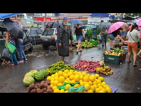A FEIRA LIVRE DE BOM JARDIM PERNAMBUCO 29/04/2026