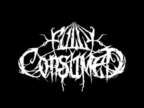 FULLY CONSUMED - Soul Possession