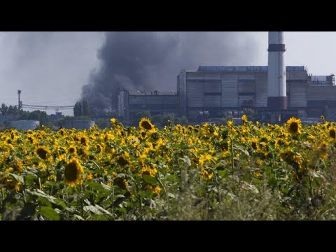 Γαλλία: Σε ποιες καλλιέργειες στρέφονται οι αγρότες λόγω του πολέμου στην Ουκρανία