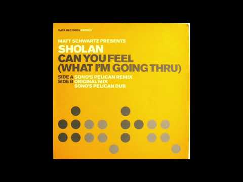 Matt Schwartz Presents Sholan - Can You Feel (What I'm Going Thru) (Sonos Pelican Remix)
