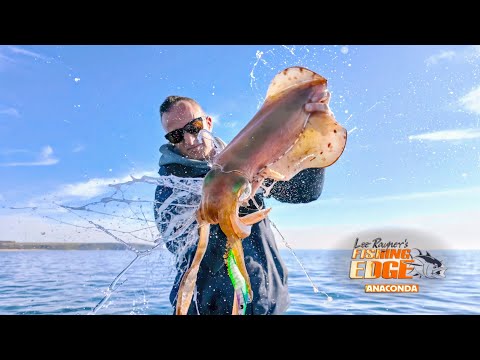 Kraken BIG Squid: XL Squid Mission