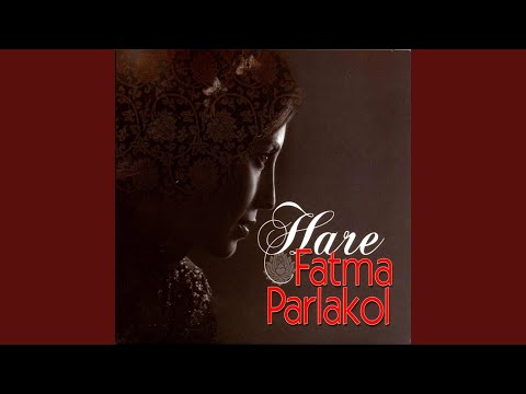 Evlerinin Önü Handır