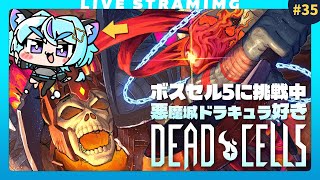 【Dead Cells】ボスセル5練習中、無限の弓が強い！｜拾ってよかった🤣｜35日目