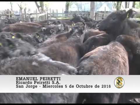 05-10-16 Nota Emanuel Peiretti - Ricardo Peiretti S.A. - San Jorge.
