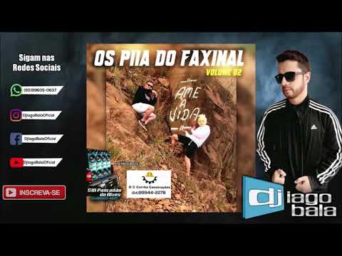 CD OS PIIA DO FAXINAL VOLUME 02 DE FAXINALZINHO-RS - DJ IAGO BALA