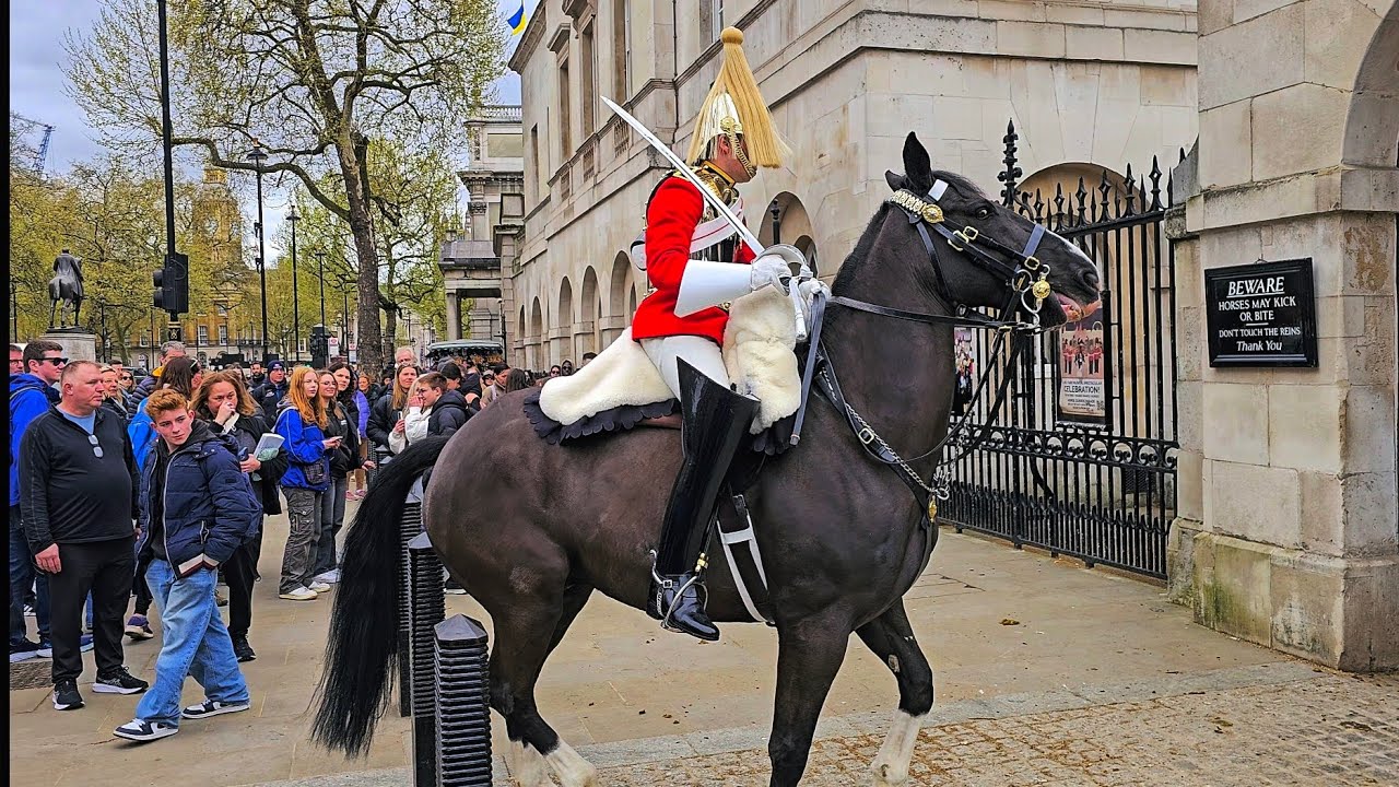 MOVE BACK! MELTDOWN as POLICE guard and tourists run when King's Horse quits at Horse Guards!
