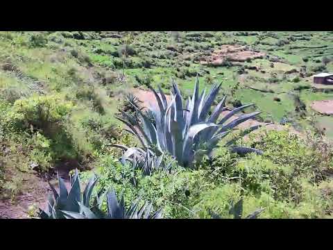 Distrito de Gorgor, Cajatambo, Lima, Perú 2024 //sentimientos//