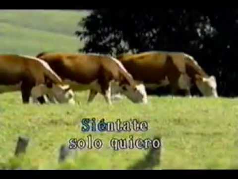 KARAOKE ELEGISTE PERDER   ANGEL LOPEZ