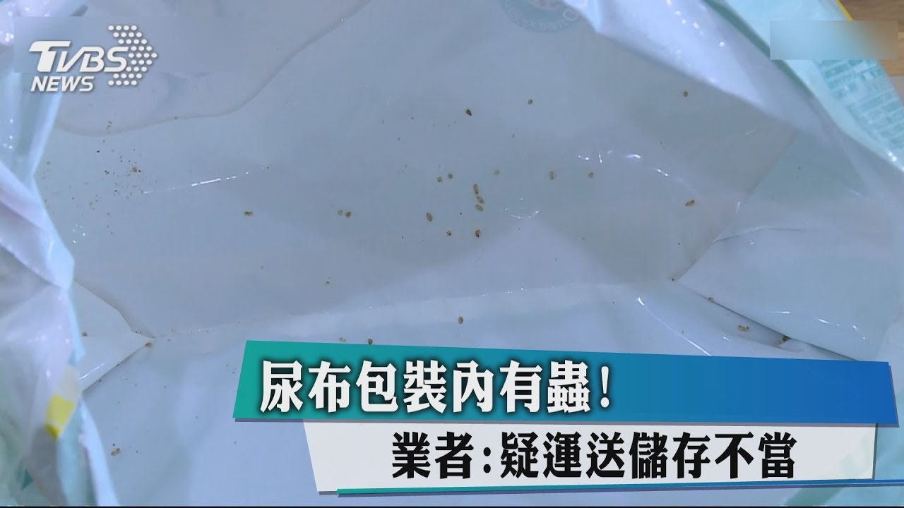 尿布包裝內有蟲! 業者:疑運送儲存不當