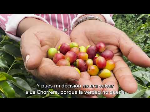 #Volver | Flor Alba | Timbío, Cauca
