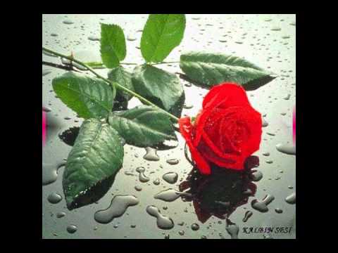 ogün şanlısoy bir ben (Memet K. Hamit M.)