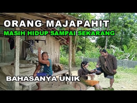 Viral ! KETURUNAN MAJAPAHIT MASIH HIDUP TINGGAL DI GUNUNG HUTAN JATI KABUH JOMBANG DENGAN BAHASA INI