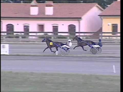 IPPODROMO DEI PINI - Prove di qualifica del 4 agosto