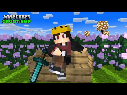 Minecraft Groot SMP - EPIC PVP Battle LIVE!!