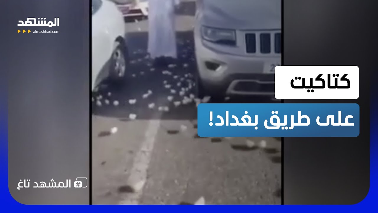 الكتاكيت تغطي الإسفلت.. حادث غريب يوقف طريق بغداد كركوك!  – المشهد تاغ