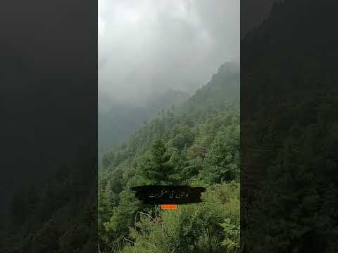 Ek Bar Muskura Do#nature #ytshorts #fypシ