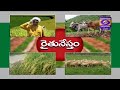 Raithu Nestham Dt 03 01 2020