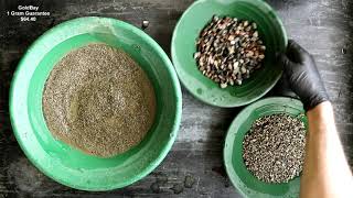 GoldBay 1 Gram of Gold Paydirt