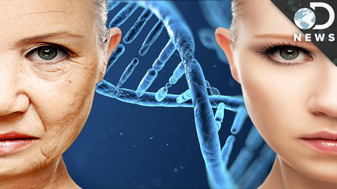 Can This DNA Hack Help You Stay Young Forever