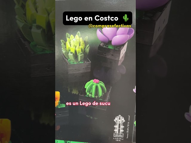 Vídeo relacionado con LEGO Botanicals Suculentas Maqueta de 9 Plantas Artificiales para Construir - Decoración para Casa - Manualidades para Adultos - Kit de Ramo de Flores - Regalo para Mujeres y Hombres 10309
