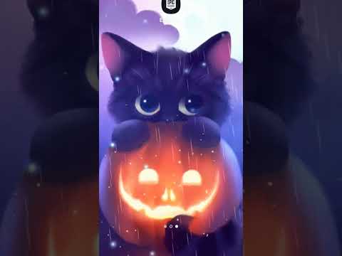 Il est trop mignon le chat de mon fond d'écran (non )