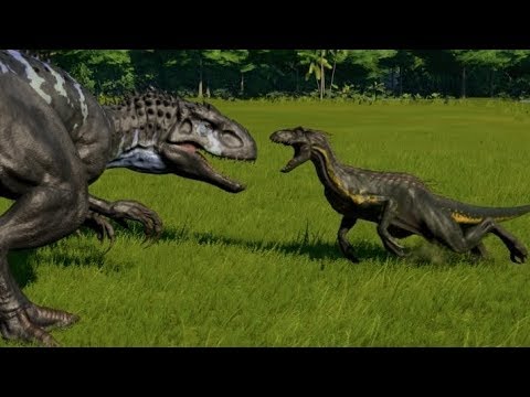Indoraptor vs Indominus Rex, T-Rex, Spinoraptor, Spinosaurus, Giganotosaurus, Carcha & Allosaurus