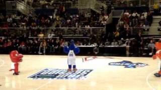 Mascots entertaining the crowds at the NBA ALL STARS D-League Game