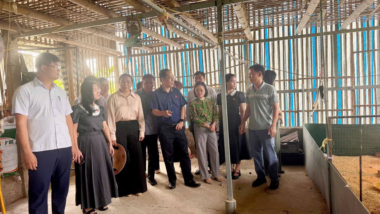 ĐOÀN ĐBQH TỈNH NGHỆ AN GIÁM SÁT VIỆC THỰC HIỆN CHÍNH SÁCH, PHÁP LUẬT VỀ AN TOÀN THỰC PHẨM