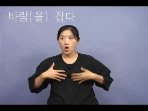 「바람」의 한국수어 표현