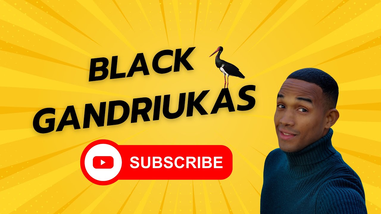 The Top 9 Things to See and Do in Kaunas, Lithuania