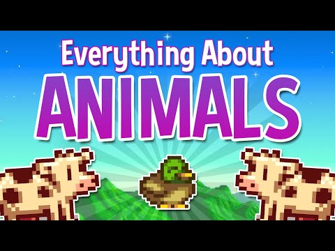 All You Need to Know about Animals - Stardew Valley