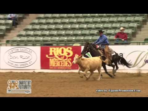 Hesa Royalena ridden by Clay Volmer  - 2016 NRCHA Snaffle Bit Futurity (Cow Work - Open Prelims)