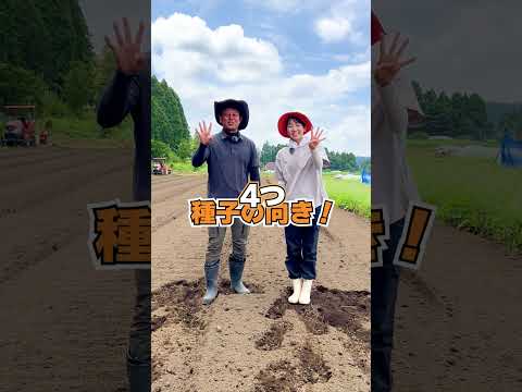 なぜニンニクを植物に入れるのでしょうか？祖母が庭での6つの意外な使い方を教えてくれました  庭園