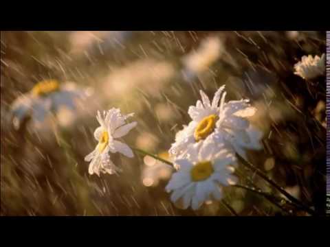 Tom Kenyon The Ultimate Brain   video booster cz 720p 2212017