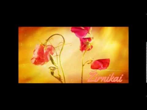 Jonas Švedas - Žirnikai (atlieka Agnė Simutytė)