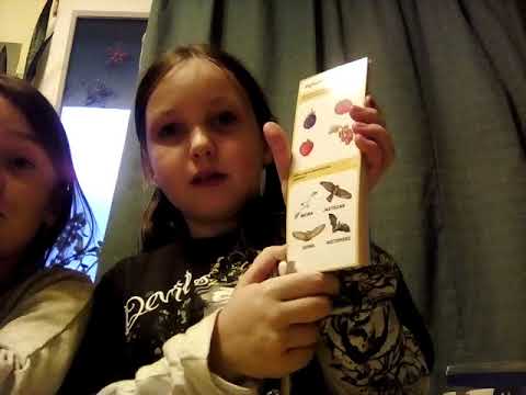 100 pytań i odpowiedzi