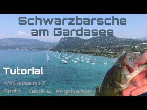 Schwarzbarsche am Gardasee - Tutorial für den Familienurlaub | Spots, Taktik & Angelkarte