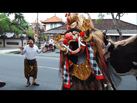 Barong Bringkit Ngelawang ke Sading