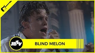 Blind Melon - Paper Scratcher | Live @ Metro